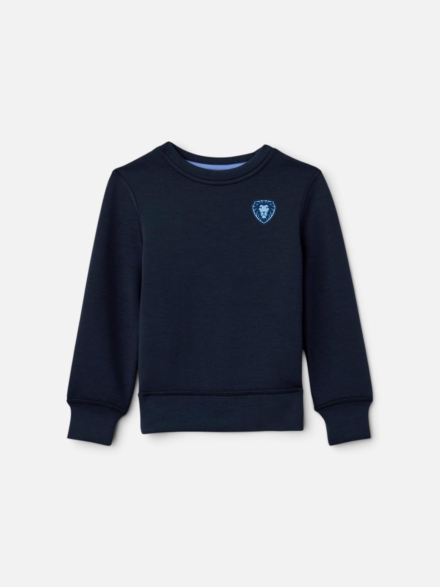 Boys Active Crewneck Pullover